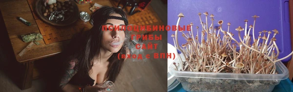 спиды Михайловск