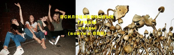 спиды Михайловск