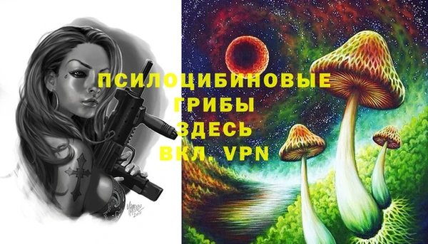 марки lsd Михайловка