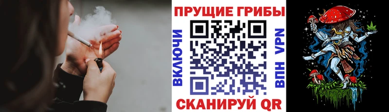 Псилоцибиновые грибы мухоморы  Навашино 